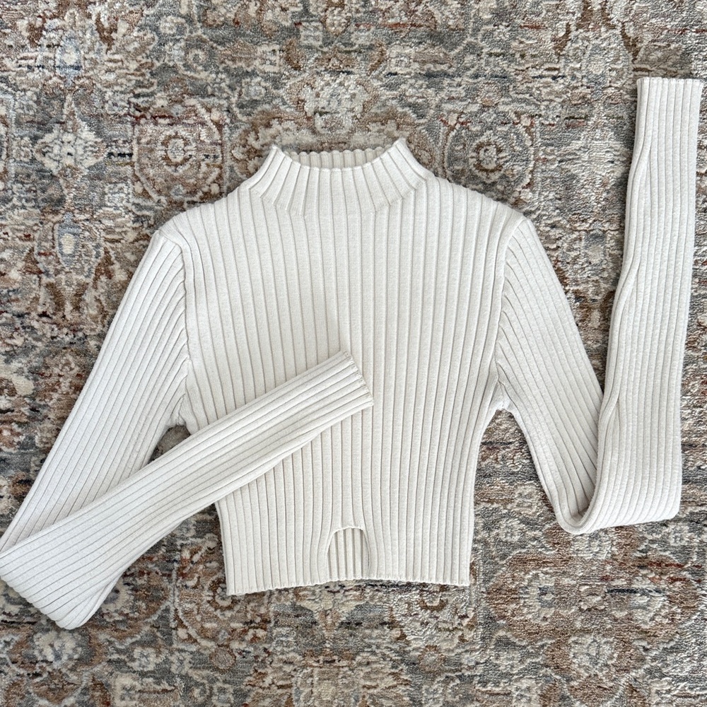 NWOT Edikted Cream off white Ribbed Knit FALL Crop Top turtleneck XS